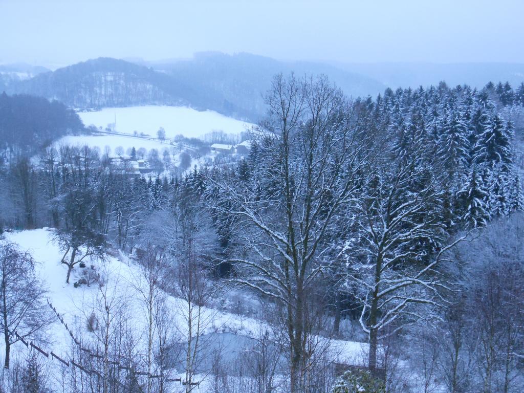Gîte Le Gros Chêne Bouillon Chambre photo